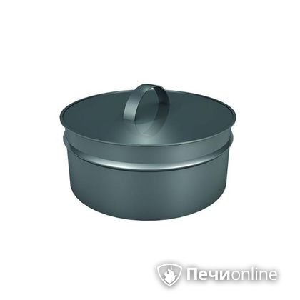 Заглушки Теплов и Сухов Заглушка ревизии Термо-Р 304 0.5 D220(120) в Барнауле