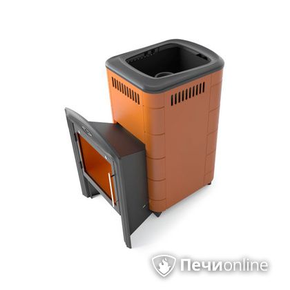 Дровяная печь-каменка TMF Тунгуска Cast Витра терракота в Барнауле