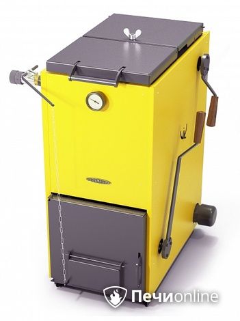Твердотопливный котел TMF Цельсий Электро 16кВт АРТ ТЭН 6кВт желтый в Барнауле