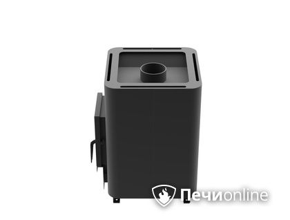 Дровяная банная печь Протопи Парилка 10У в Барнауле