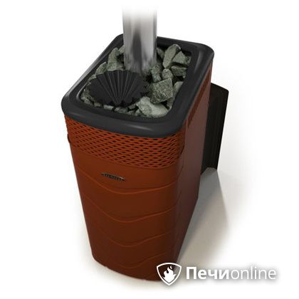 Дровяная банная печь TMF Гейзер XXL 2017 Inox Витра закрытая каменка терракота в Барнауле