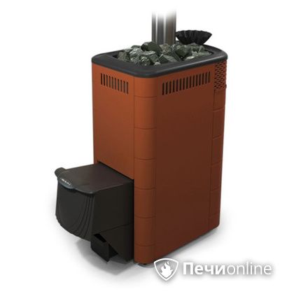 Дровяная банная печь TMF Гейзер XXL 2017 Inox дверь антрацит закрытая каменка терракота в Барнауле